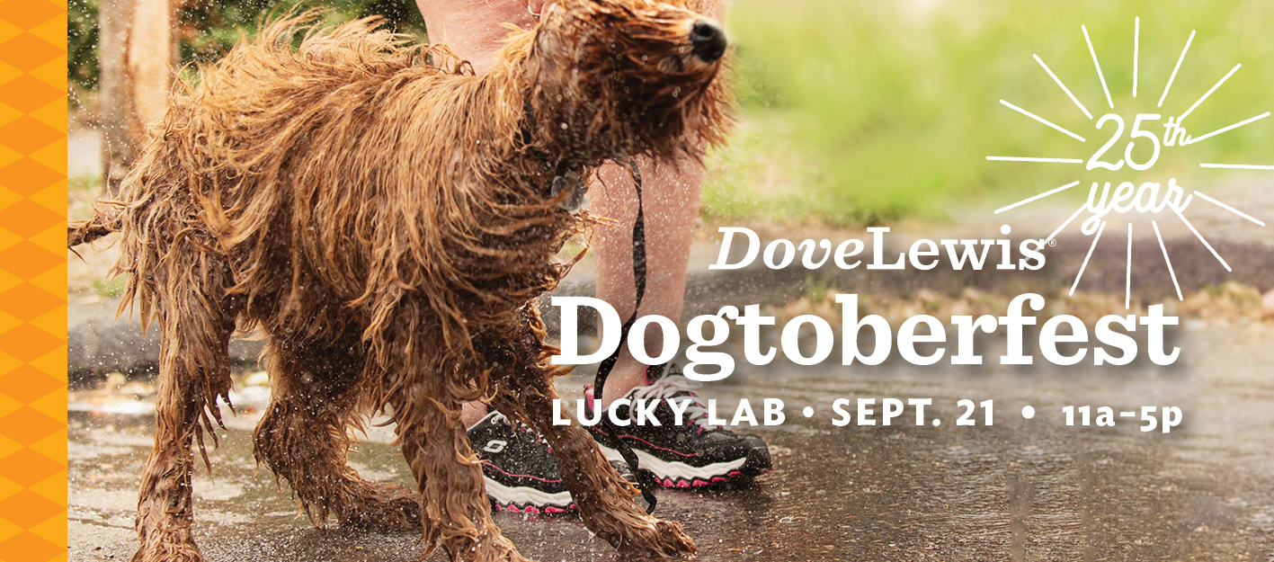 Dogtoberfest - Events